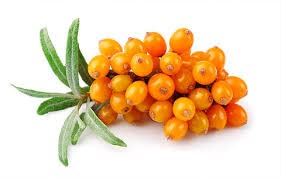 Sea Buckthorn Balm Eczema, Psoriasis Salve dry or cracked skin, Sun burn, Sun Damage Spots, Brown Spots on face, Safe for baby child rash, 2 oz tin, handmade USA, Cold Pressed Organic Vegan