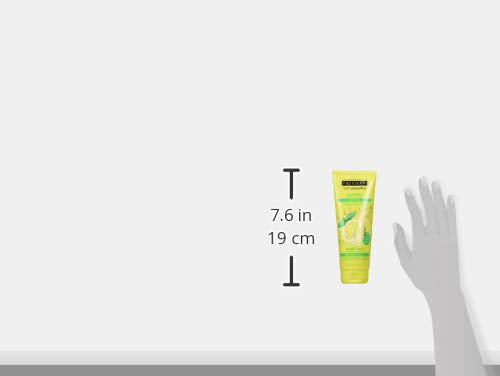 Freeman Oil Absorbing Mint & Lemon Clay Mask, Facial Mask, Skincare, 6 fl oz tube/175 mL