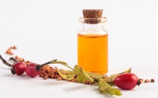 Organic Sea Buckthorn Oil | 4 FL OZ (120 ML) | CO2 Extract | Premium Omega 3-6-9 Complex | Skin Barrier Support | Promotes Cell Membrane | Dropper in Glass Bottle | Made In Germany