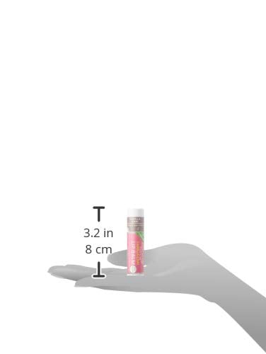 Soothing Touch Lip Balm, Vegan Vanilla Chai, 0.25 Ounce (Pack of 3)