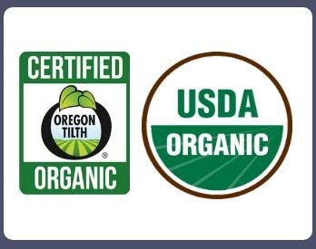 Certified ORGANIC RAW SHEA NUT BUTTER (African). 3.75 oz. Unrefined Natural Moisturizer.