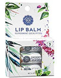 Lip Balm Set: All-Natural Shea Butter, Beeswax, Coconut Oil, Vitamin E Infused Lip Moisturizer Care (3 Pack, Peppermint Eucalyptus)