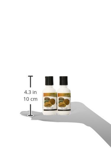 The Lotion Company 24 Hour Skin Therapy Lotion, Full Body Moisturizer, Travel size, Paraben Free, Made in USA, Kiwi Mango Fragrance, 2 oz. (pack of 2)