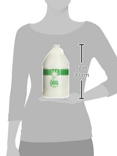 Triple Lanolin Aloe Vera Soothing Lotion (128 Fl Oz) – Professional Bulk Moisturizer for All Skin Types – Deeply Hydrating Aloe & Lanolin Hand and Body Lotion – Non-Greasy & Fast-Absorbing