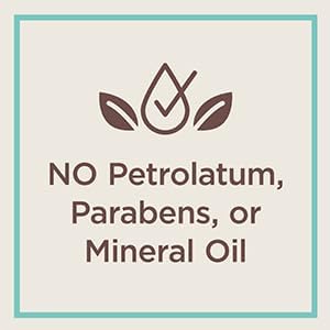 Carmex Comfort Care Lip Balm Stick with Beeswax, Peppermint Lip Balm - 0.15 OZ Each, 2 Count