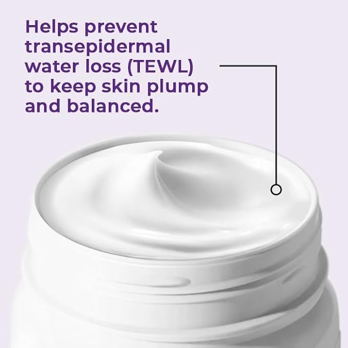 SKIN DEVA Hydrating Moisturizer Cream with Niacinamide & Ceramide Daily Face Cream| Oil Free, Protect, Smooth and Moisturizer, All Day Hydration and Plump Skin, Clean Vegan & Cruelty Free - (2 Fl oz)