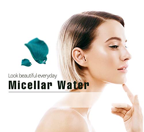 Epielle Micellar Cleansing Water | Makeup Remover for All Skin Types | Gently Cleanses Skin | 8 Fl Oz (2 Pack) | Ideal for Beauty Gifts, Spa Days, Gift Sets | Korean Skincare