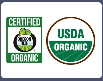 Unrefined Raw Shea Butter - Certified Organic; Premium, Imported African Ivory (Tan); 13.5 oz Lg Dark BPA Free JAR; Moisturizer Face, Body, Skin, Hair; Ingredient DIY Home Made Body Butters Skincare
