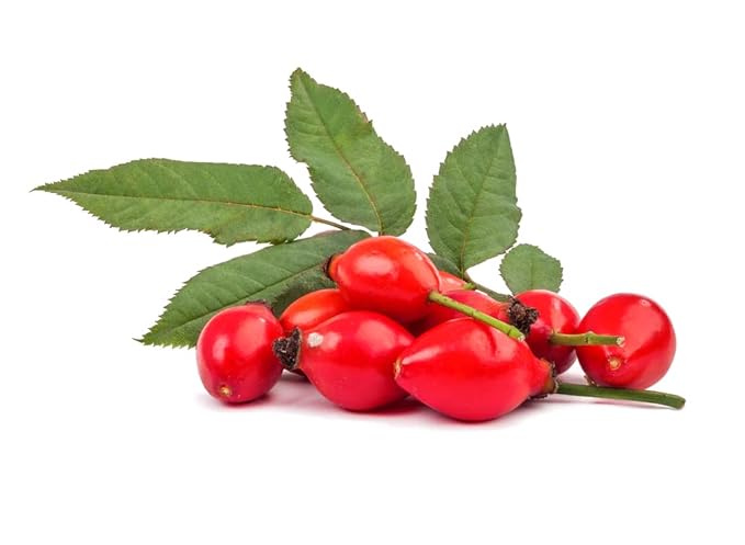 Rosehip Oil - 32 oz - Pure, Unrefined, Cold Pressed, Raw, Unfiltered, Virgin for Skin, Hair, Nails, Body, Face - For All Skin Types - Organic Pure Oil
