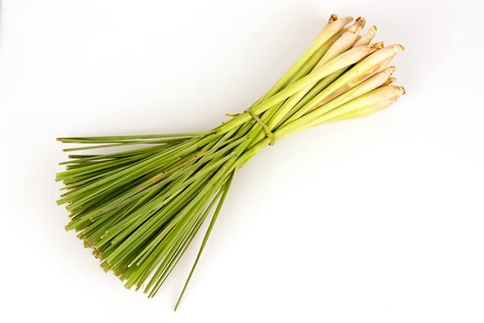 Lemongrass Organic Sugar Scrub for Glowing, Smooth, and Healthy Skin, Hypoallergenic, All-Natural, Plant-Derived, Made in USA by DAYSPA Body Basics