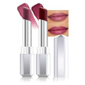 evpct 2Pcs Mauve Plum Cherry Honey Lipstick Tinted Lip Balm, Moisturizing Tinted Lip Oil Stick Lipstick for Older Women, Sheer Lightweight Hydrating Shine Tinted Lip Balm Color Gloss Tint Stain