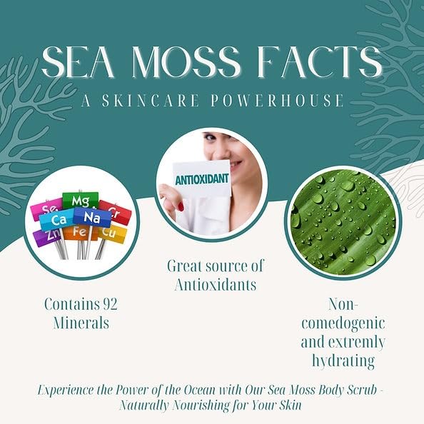 Exfoliating Sugar Body Scrub, Nourishing and Brightening Skincare Formula for Smooth, Radiant Skin, Hydrates & Revitalizes All Skin Type, 12 oz (12 OZ, Sea Moss)