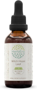 Witch Hazel Leaf B60 Alcohol-Free Herbal Extract Tincture, Concentrated Liquid Drops Natural Hamamelis virginiana Dried Leaf (2 fl oz)