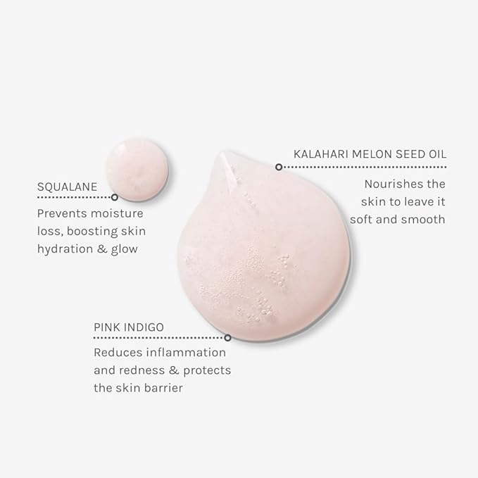 Evolve Organic Beauty - Kalahari Dream Cleansing Oil | Lightweight, Nourishing, Make Up Removal | Squalane, Pink Indigo | Small-Batch, Vegan Clean Beauty (3.4 fl oz | 100 mL) Package May Vary