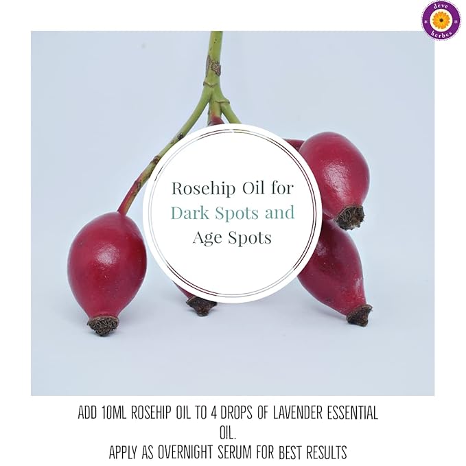 dève herbes Rosehip Oil (Rosa rubiginosa) | Cold Pressed | Pure | Natural | Undiluted | For Diluting Essential oils | For Skin & Massage | Non-Sticky| Lightweight| Men & Women | 50ml (1.69 oz)