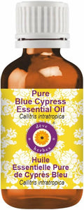 dève herbes Pure Blue Cypress Essential Oil (Callitris intratropica) Natural Therapeutic Grade Steam Distilled 2ml (0.06 oz)