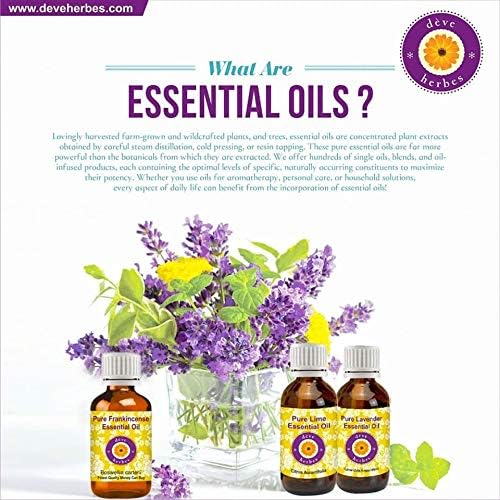 Deve Herbes Pure Chilli Seed Essential Oil (Capsicum annum) Steam Distilled 5ml (0.16 oz)