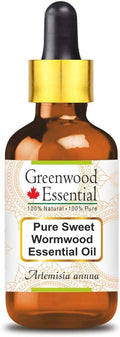 Greenwood Essential Sweet Wormwood Essential Oil (Artemisia annua) with Glass Dropper | Pure | Non-Sticky | Non-Greasy | Lightweight | Men & Women | All Skin Types | Steam Distilled 30ml (1 oz)