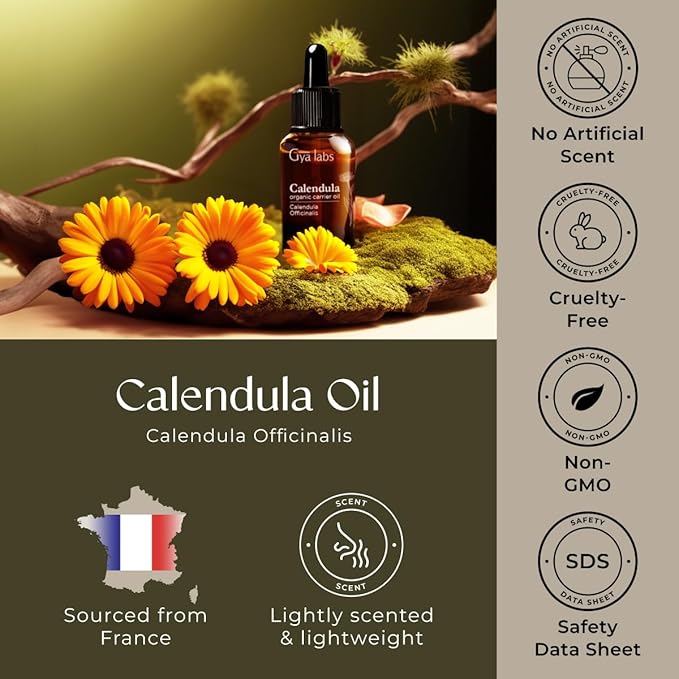 Gya Labs Calendula Oil - 1 Fl Oz - Carrier Oil for Hair, Skin, Face, Scalp & Body Massage