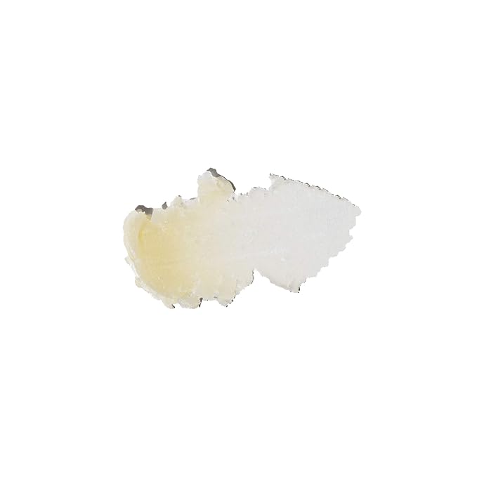 Sun Bum Cocobalm Groove Cherry - Hydrating Lip Balm With Coconut Oil and Aloe Vera - 0.15 oz Stick (Pack of 2)