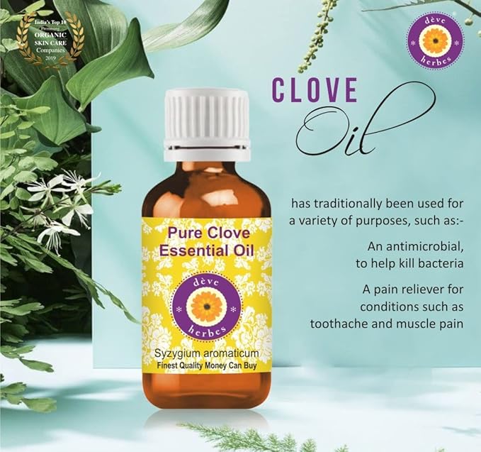 Deve Herbes Pure Clove Essential Oil (Syzygium aromaticum) Steam Distilled (Pack of Five) 100ml X 5 (16.9 oz)