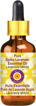 dève herbes Spike Lavender Essential Oil (Lavandula latifolia) with Glass Dropper | Pure | Non-Sticky | Non-Greasy | Lightweight | Men & Women | All Skin Types | Steam Distilled 50ml (1.69 oz)