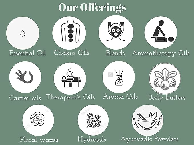 Greenwood Essential Pure Vanilla Essential Oil (Vanilla planifolia) Steam Distilled (Pack of Five) 100ml X 5(16.9 oz)