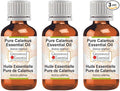 Greenwood Essential Pure Calamus Essential Oil (Acorus Calamus) Steam Distilled (Pack of Three) 100ml X 3 (10.1oz)
