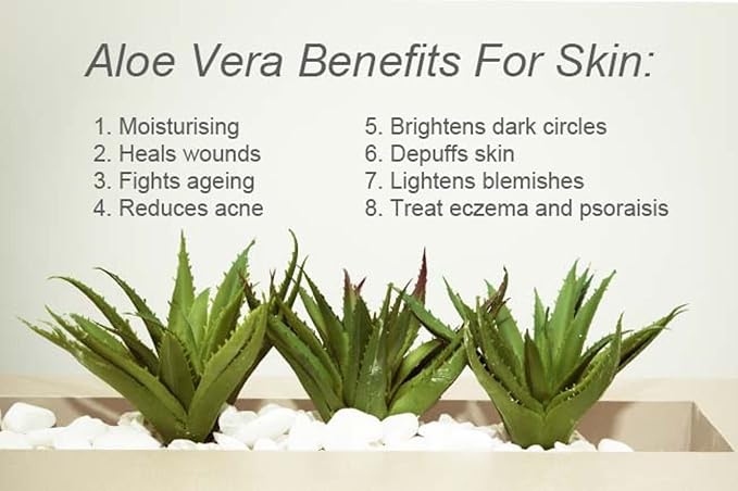 Organic Hair Solution-Body Lotion-with Soothing Aloe Vera and Vitamin E- Dry Skin, Non-Greasy-Shea Butter, Almond oil- For both Males & Females- Natural Fragrance-Vegan (Japanese Cherry Blossom)