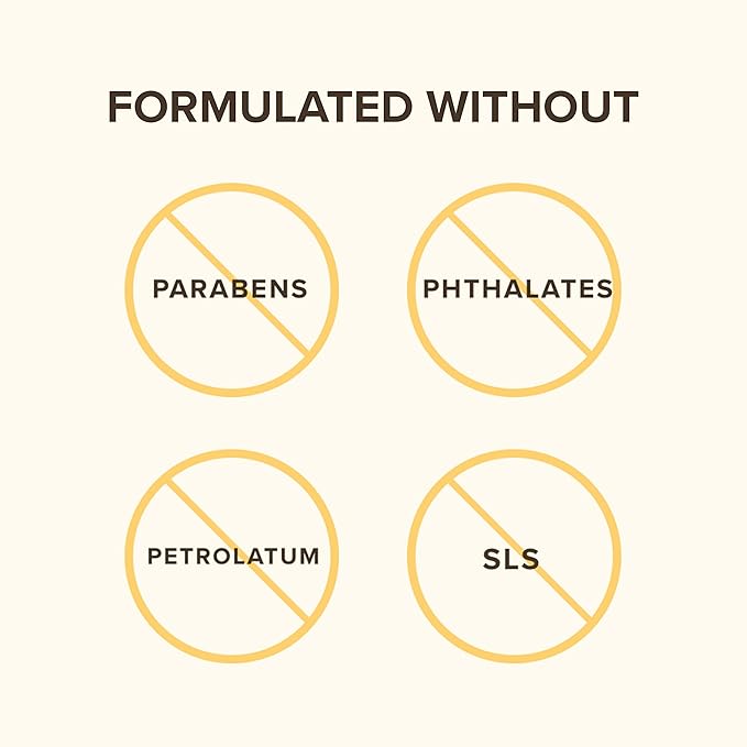 Burt's Bees Shea and Aloe Moisturizing Lip Balm, Lip Moisturizer With Responsibly Sourced Beeswax, Tint-Free, Natural Origin Conditioning Treatment, 4 Tubes, 0.15 oz.