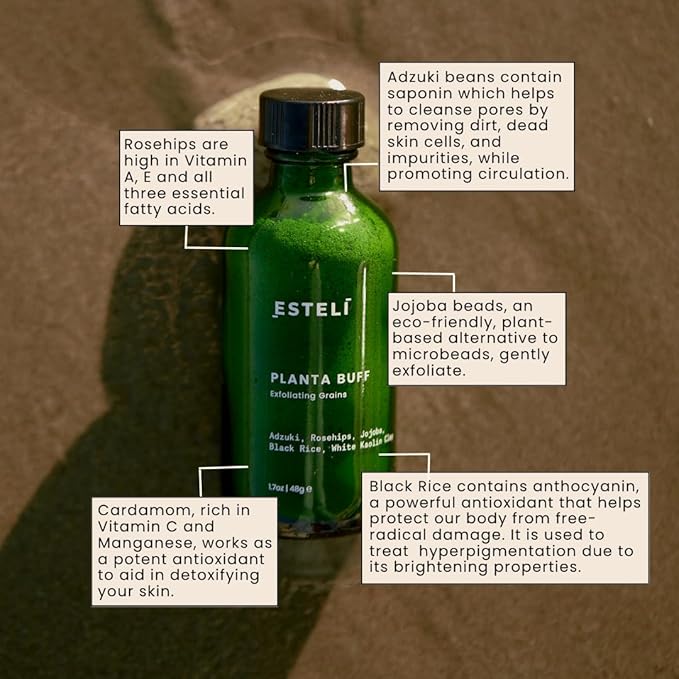 Planta Buff Exfoliating Grains | Gentle Face Scrub | Made with Organic Botanical Grains and Cleansing Clays | Plant- based + Cruelty Free (1.7oz / 48g)
