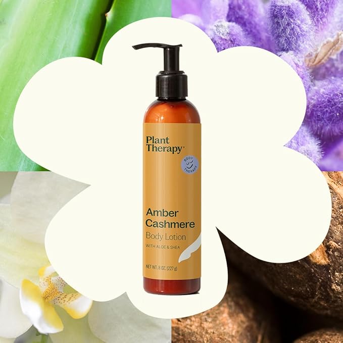 Plant Therapy Amber Cashmere Body Lotion with Aloe & Shea 8 oz Natural Scent with Warm Amber Tones, Deep Moisture for Smooth, Healthy Skin, Enriched with Vitamins and Antioxidants