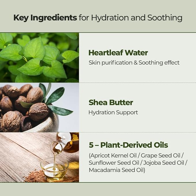 JMsolution Heartleaf Lip Sleeping Mask – Overnight Repair Lip Balm with Houttuynia Cordata & Shea Butter – Soothing & Hydrating Care for Dry, Chapped, and Sensitive Lips (20g / 0.70 oz)