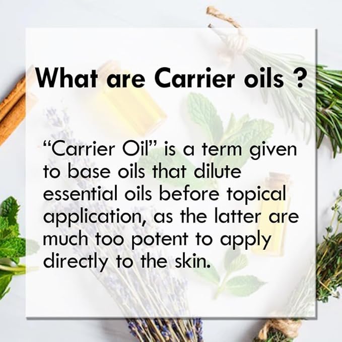Greenwood Essential Pure Peach Kernel Oil (Prunus persica) Cold Pressed 100ml (3.38 oz)