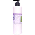 Blossom to Bath Lavender Mint Lotion (16 ounce) - Pure Essential Oil Fragrance - Absorbs Quickly with a Cheerfully Relaxing Scent