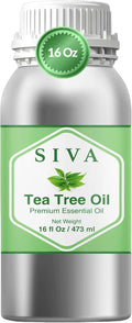 Siva Tea Tree Essential Oil - 16 Fl Oz – 100% Natural Tea Tree Oil - for Diffuser, Face, Skin Care, Aromatherapy, Hair Care, Scalp and Body Massage