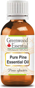 Greenwood Essential Pure Pine Essential Oil (Pinus sylvestris) Steam Distilled 100ml (3.38 oz)