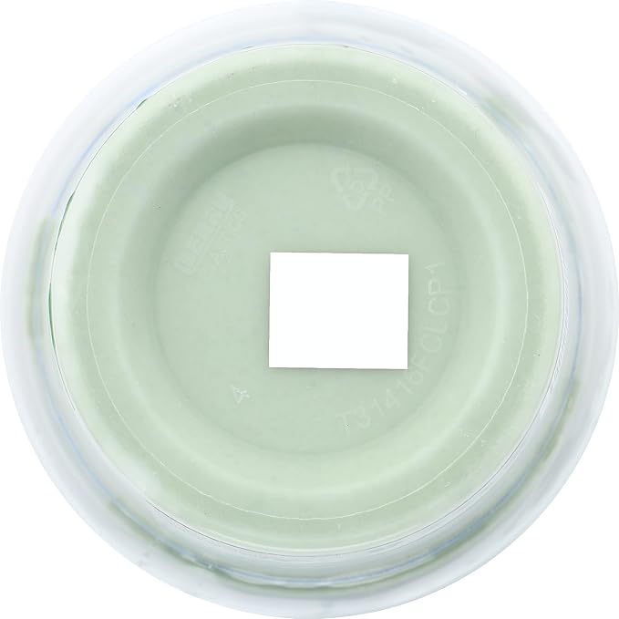 BODHI HANDMADE SOAP White Tea Ginger Whipped Soap, 14 OZ