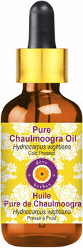 Deve Herbes Chaulmoogra Oil (Hydnocarpus wightiana) with Glass Dropper | Cold Pressed | Pure | For Diluting Essential oils | Skin & Massage | Non-Sticky | Lightweight | Unisex | 5ml (0.16 oz)