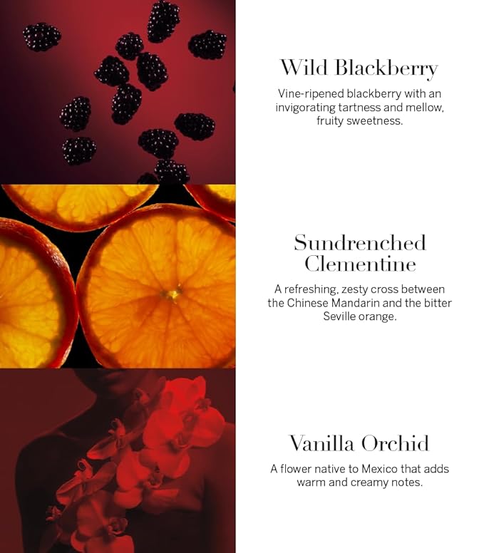 Victoria's Secret Very Sexy Fragrance Lotion, Notes of Vanilla Orchid, Sun-Drenched Clementine & Wild Blackberry, (8.4 oz)