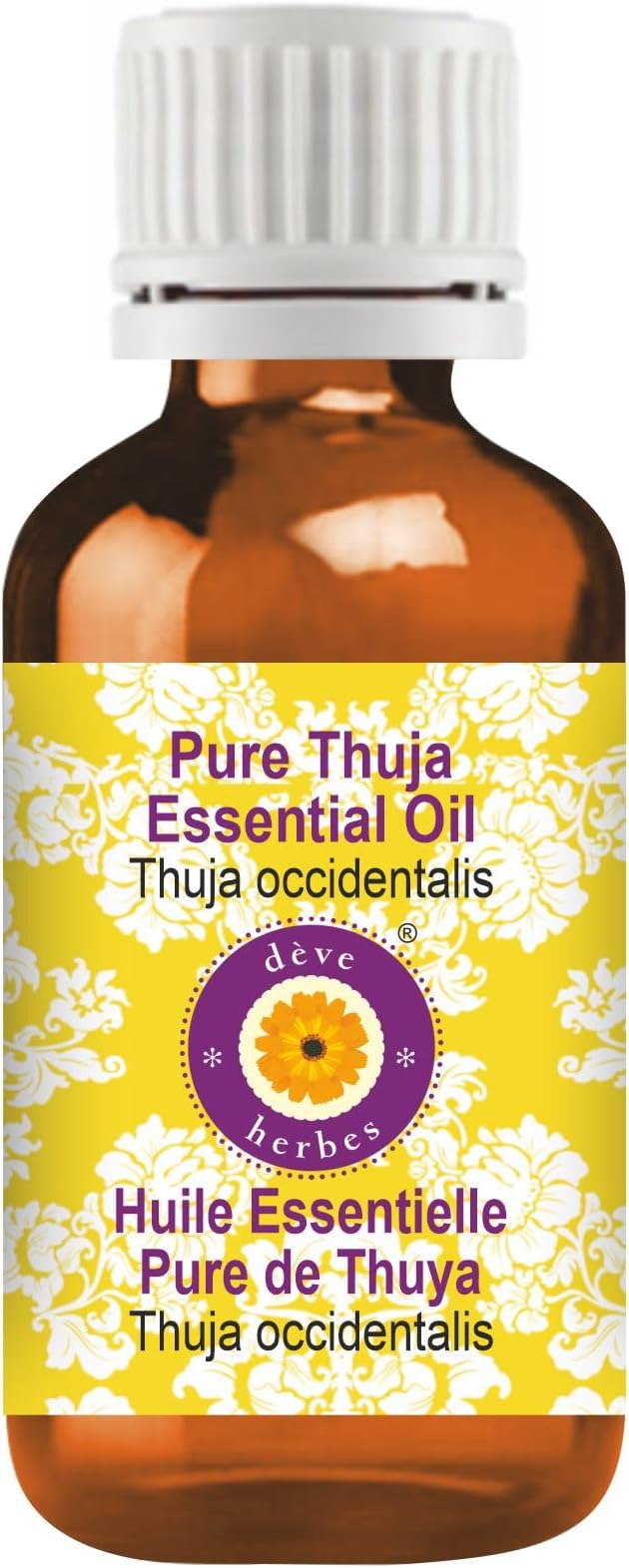 Deve Herbes Pure Thuja Essential Oil (Thuja occidentalis) Steam Distilled 50ml (1.69 oz)