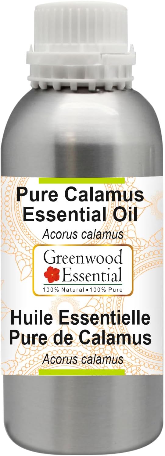 Greenwood Essential Pure Calamus Essential Oil (Acorus Calamus) Steam Distilled 300ml (10.1 oz)