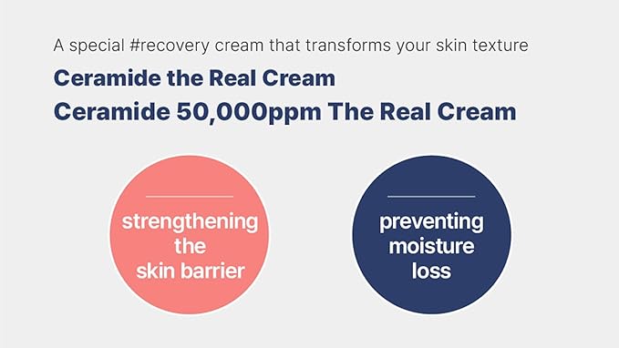 Ceramide The Real Cream - Deep Moisturizing Face Cream with 50,000ppm Ceramide NP for All Skin Types, Fragrance-Free, Clinically Tested for Sensitive Skin, 50g