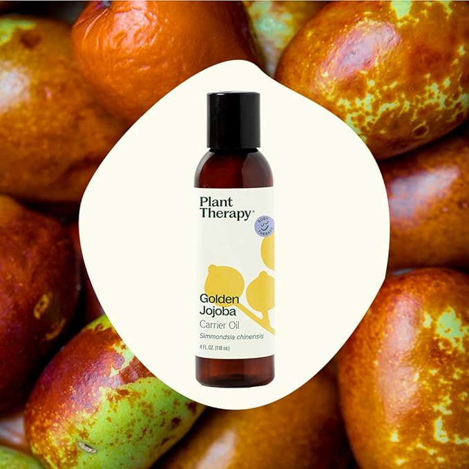 Plant Therapy Jojoba Golden Carrier Oil 4 oz 100% Pure, Cold-Pressed, Natural and GMO-free Moisturizer and Carrier Oil for Essential Oils