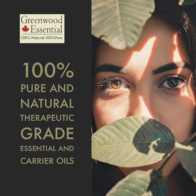 Greenwood Essential Pure Fennel Seed Essential Oil (Foeniculum vulgare) with Glass Dropper Steam Distilled (Pack of Two) 100ml X 2 (6.76 oz)