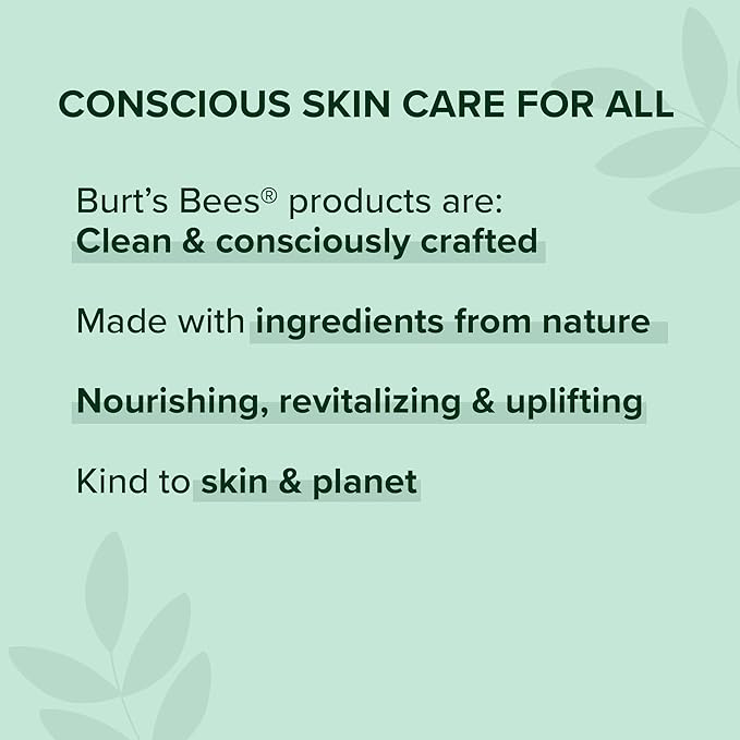 Burts Bees 100% Natural Origin Moisturizing Lip Balm, Hemp with Beeswax, 0.15 Oz