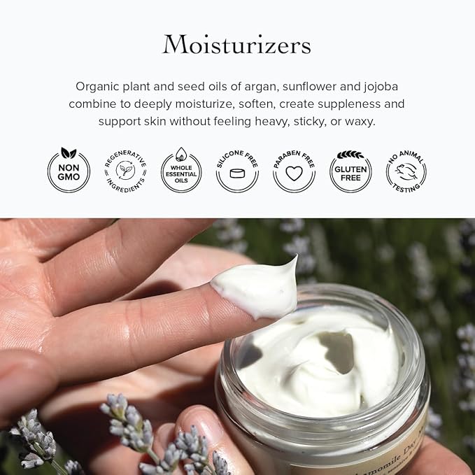 evanhealy Rose Vetiver Moisturizer | Facial Cream for All Skin Types - Lightweight Formula Packed with Antioxidants - Balancing for All Skin Types