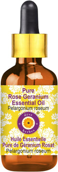 Deve Herbes Pure Rose Geranium Essential Oil (Pelargonium roseum) with Glass Dropper Steam Distilled 5ml (0.16 oz)