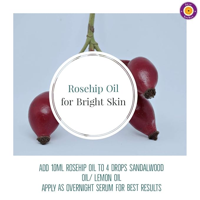 dève herbes Rosehip Oil (Rosa rubiginosa) | Cold Pressed | Pure | Natural | Undiluted | For Diluting Essential oils | For Skin & Massage | Non-Sticky| Lightweight| Men & Women | 10ml (0.33 oz)