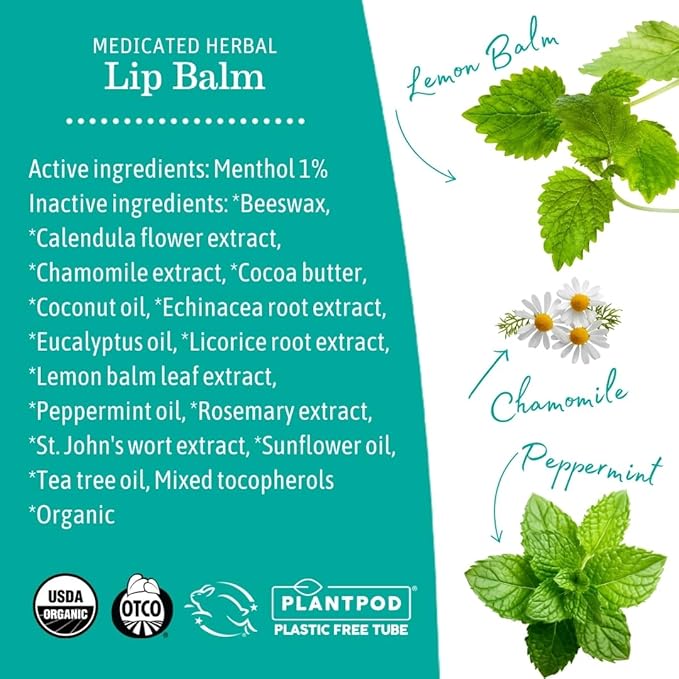 Earth Mama Medicated Herbal Lip Balm | Organic Lip Balm with Menthol for Fever Blister & Cold Sore | Refreshing Menthol Mint Lip Care, 0.15 oz (2-Pk)